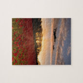 Poppy Field Pass Puzzle (Horizontal)