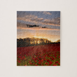 Poppy Field Pass Puzzle