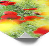 Poppy Field, Siena, Italien Poster (Ecke)