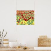 Poppy Field, Siena, Italien Poster (Küche)