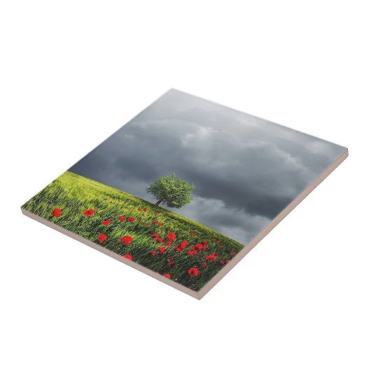 Poppy Field und Cloudy Sky Fliese (Seite)