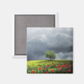 Poppy Field und Cloudy Sky Magnet (Vorderseite/Rückseite)
