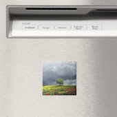 Poppy Field und Cloudy Sky Magnet (In Situ (Geschirrspüler))