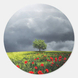 Poppy Field und Cloudy Sky Runder Aufkleber