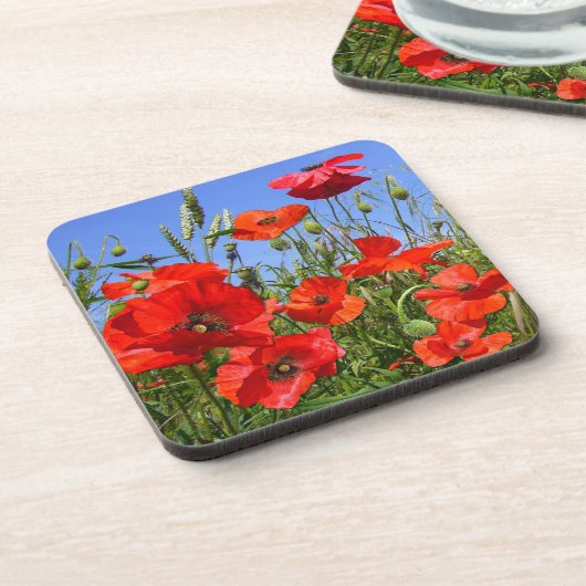 Poppy Field ~ Untersetzer (Linke Seite)