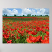 Poppy Fields Canvas Print Poster (Vorne)