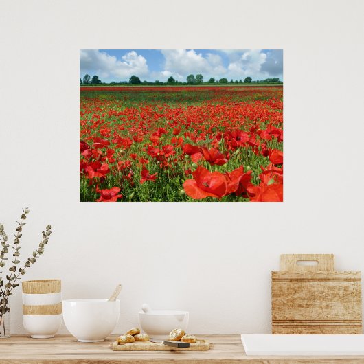 Poppy Fields Canvas Print Poster (Küche)