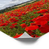 Poppy Flypast Poster (Ecke)