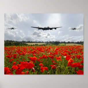 Poppy Flypast Poster