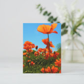 Poppy-Foto Postkarte (Stehend Vorderseite)