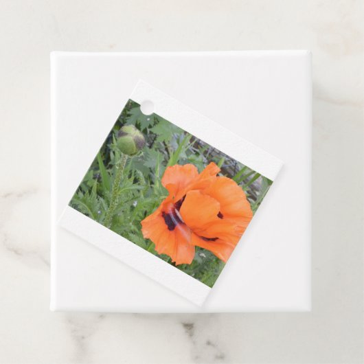 Poppy-Geschenkmarke Geschenkanhänger (Beispiel)