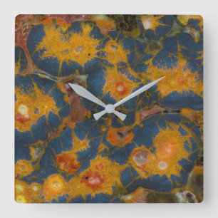Poppy Jasper Quadratische Wanduhr