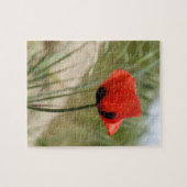 Poppy Jigsaw Puzzle (Horizontal)