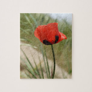 Poppy Jigsaw Puzzle