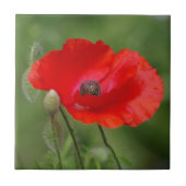Poppy Keramik Tile Fliese (Vorderseite)