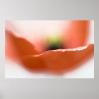 Poppy Kiss Poster