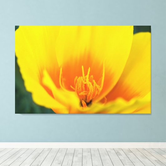 Poppy Leinwanddruck (Insitu (Holzboden))