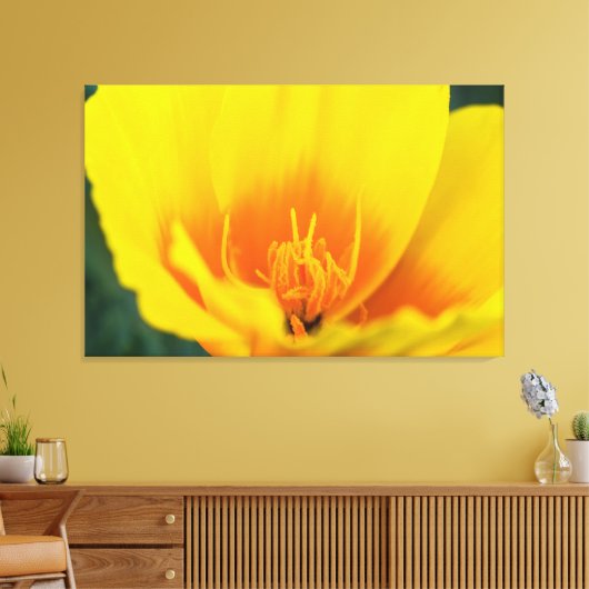 Poppy Leinwanddruck (Insitu (Wohnzimmer))