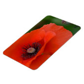 Poppy Magnet (Linke Seite)