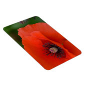 Poppy Magnet (Rechte Seite)