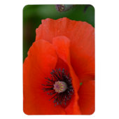Poppy Magnet (Vertikal)