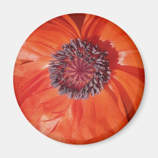Poppy Magnet (Vorne)