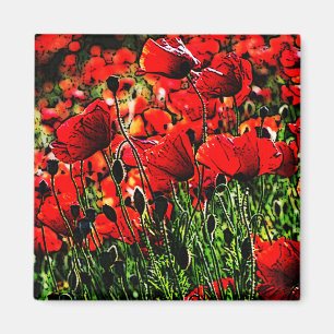 Poppy Magnet