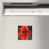 Poppy Magnet (In Situ (Geschirrspüler))