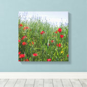 Poppy Meadow Leinwand (Insitu (Holzboden))