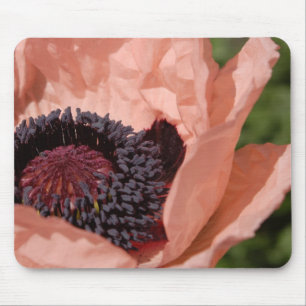 Poppy Mousepad