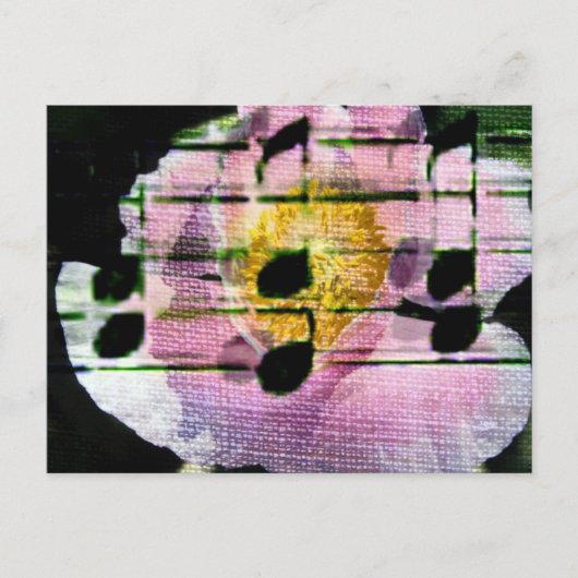 Poppy Music Postkarte (Vorderseite)