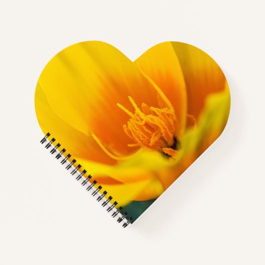 Poppy Notizblock (Vorderseite)