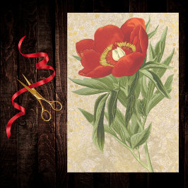 Poppy on Gold Dotted Damask Red Gold Vintage Seidenpapier