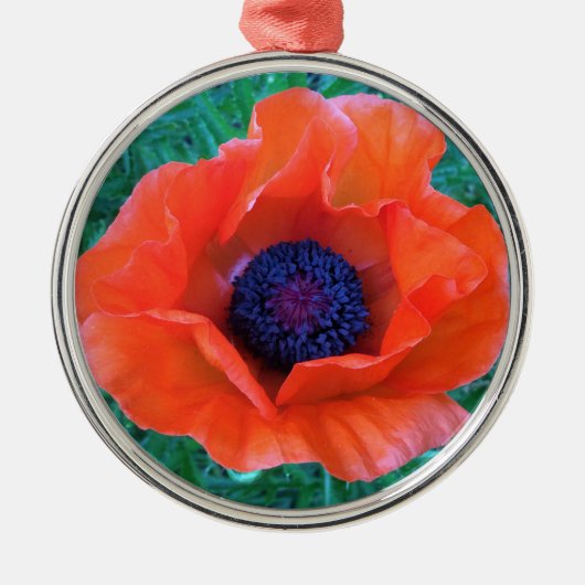 POPPY Oriental Red Orange — Ornament Aus Metall (Vorne)