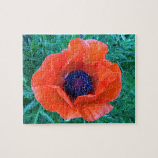 POPPY Oriental Red Orange — Puzzle