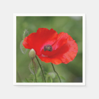 Poppy Paper Napkins Serviette