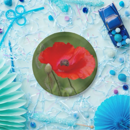 Poppy Paper-Teller Pappteller (Party)