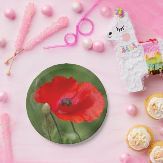 Poppy Paper-Teller Pappteller (Party)