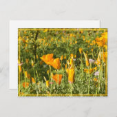 Poppy Patch Postkarte (Vorne/Hinten)