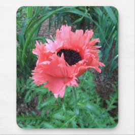 POPPY "Pink Ruffles" — Mousepad