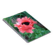 POPPY "Pink Ruffles" — Notizblock (Rechte Seite)