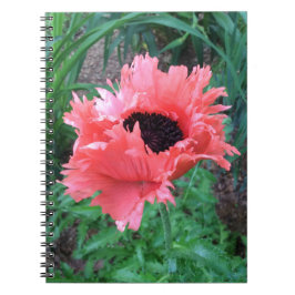 POPPY "Pink Ruffles" — Notizblock