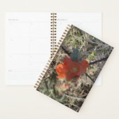 Poppy Planner Planer (Anzeige)