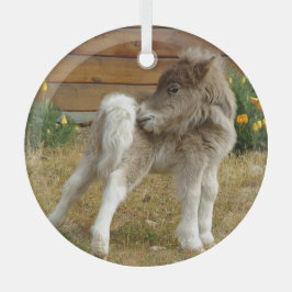 Poppy Pony Ornament Aus Glas