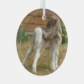 Poppy Pony Ornament Aus Glas (Vorderseite Rechts)