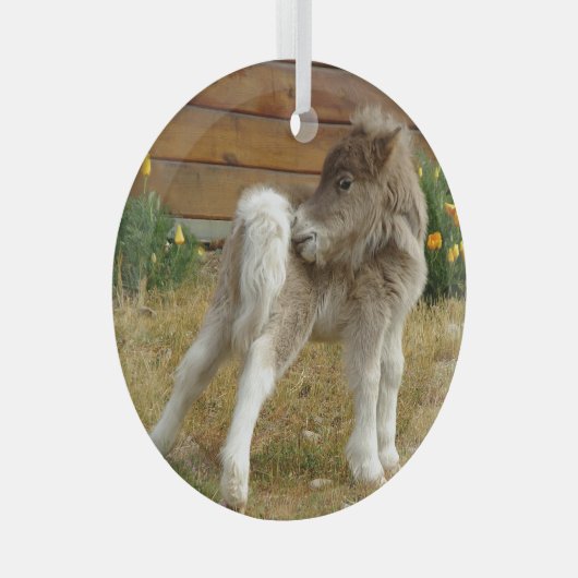 Poppy Pony Ornament Aus Glas (Vorderseite Rechts)