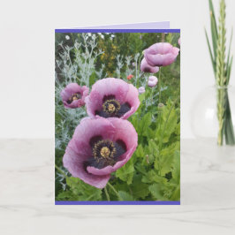 Poppy Poppies Rosa violette Blumen Geburtstagskart Karte