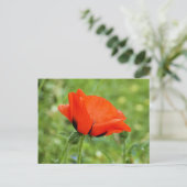 Poppy Postcard Postkarte (Stehend Vorderseite)
