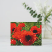 Poppy Postcard Postkarte (Stehend Vorderseite)