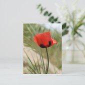 Poppy Postcard Postkarte (Stehend Vorderseite)